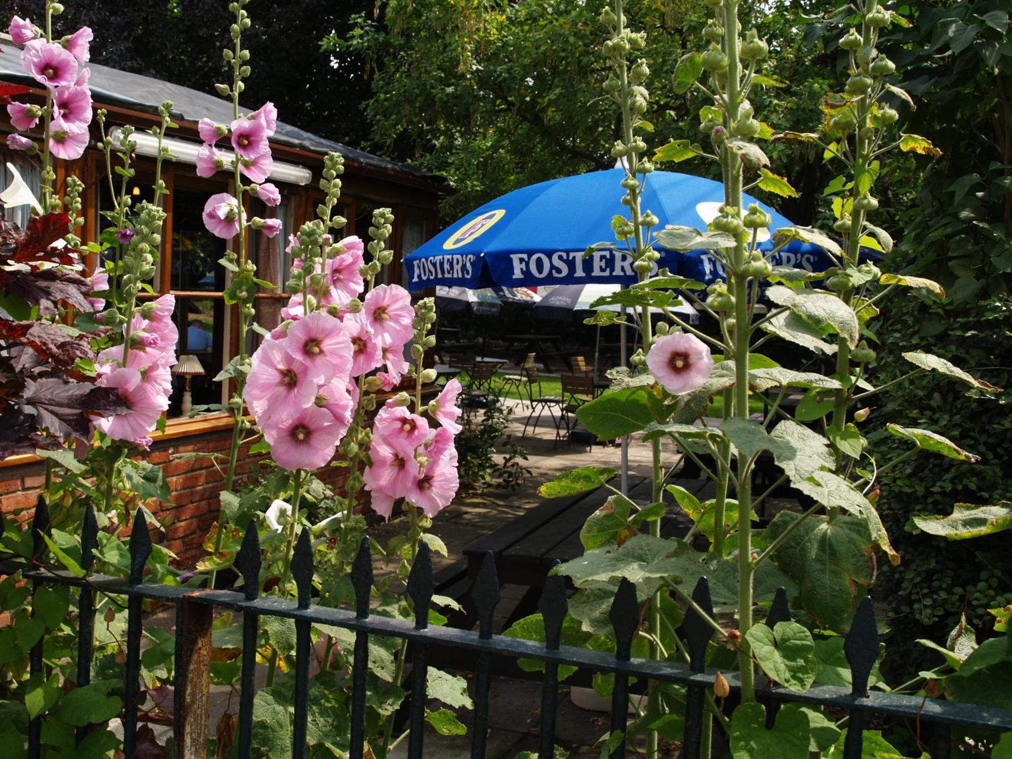 The Olde Windmill Inn Great Cressingham Kültér fotó