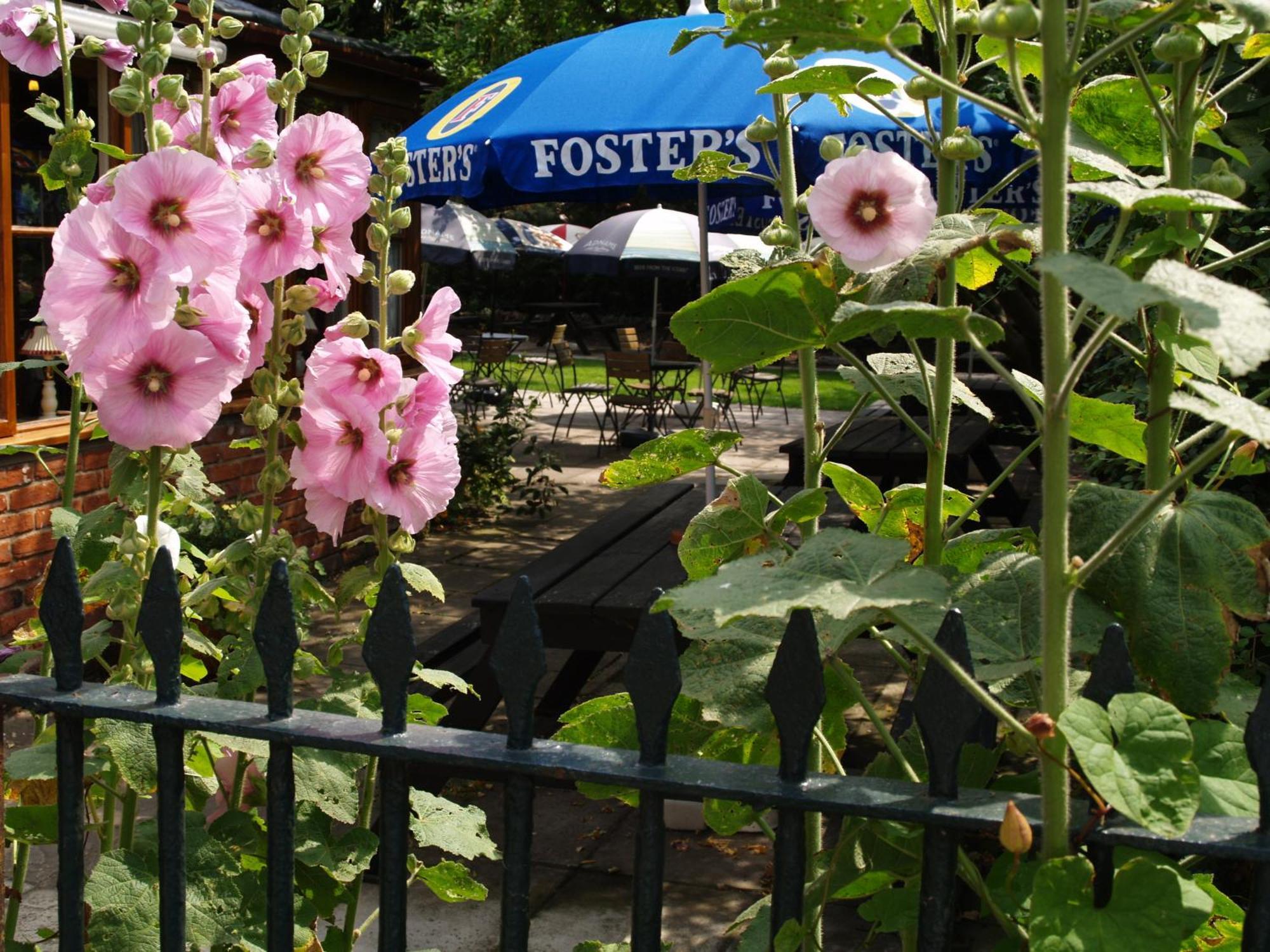 The Olde Windmill Inn Great Cressingham Kültér fotó